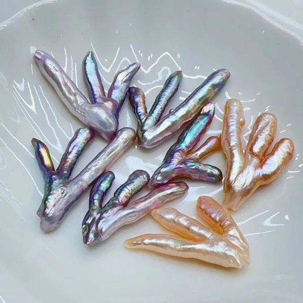 001. [On-site Promotion] Brand New Colored Coral Pearl Oysters - Image 2