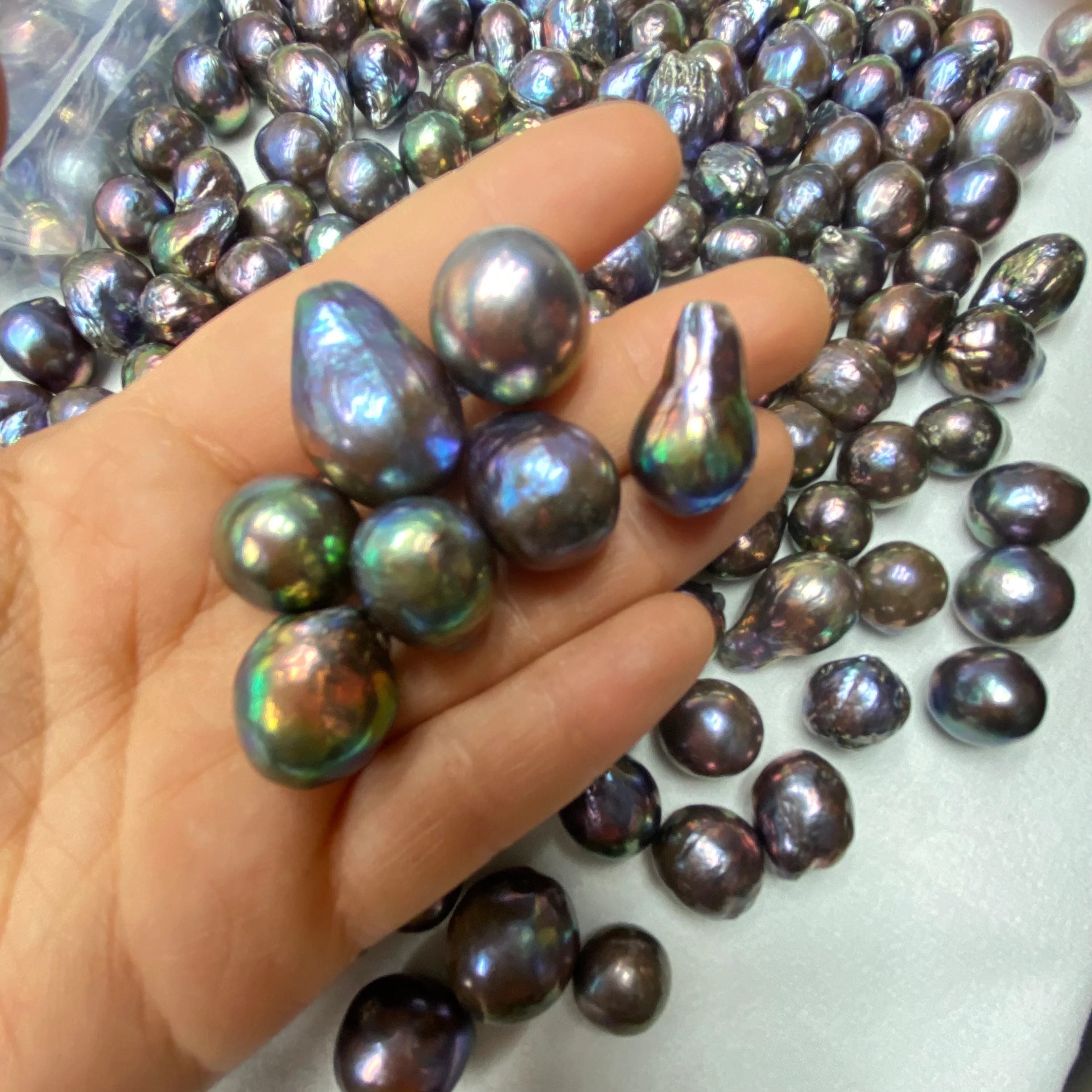 A08.【Live】White and galaxy meteorite Baby Baroque eddison Oyster - Image 6