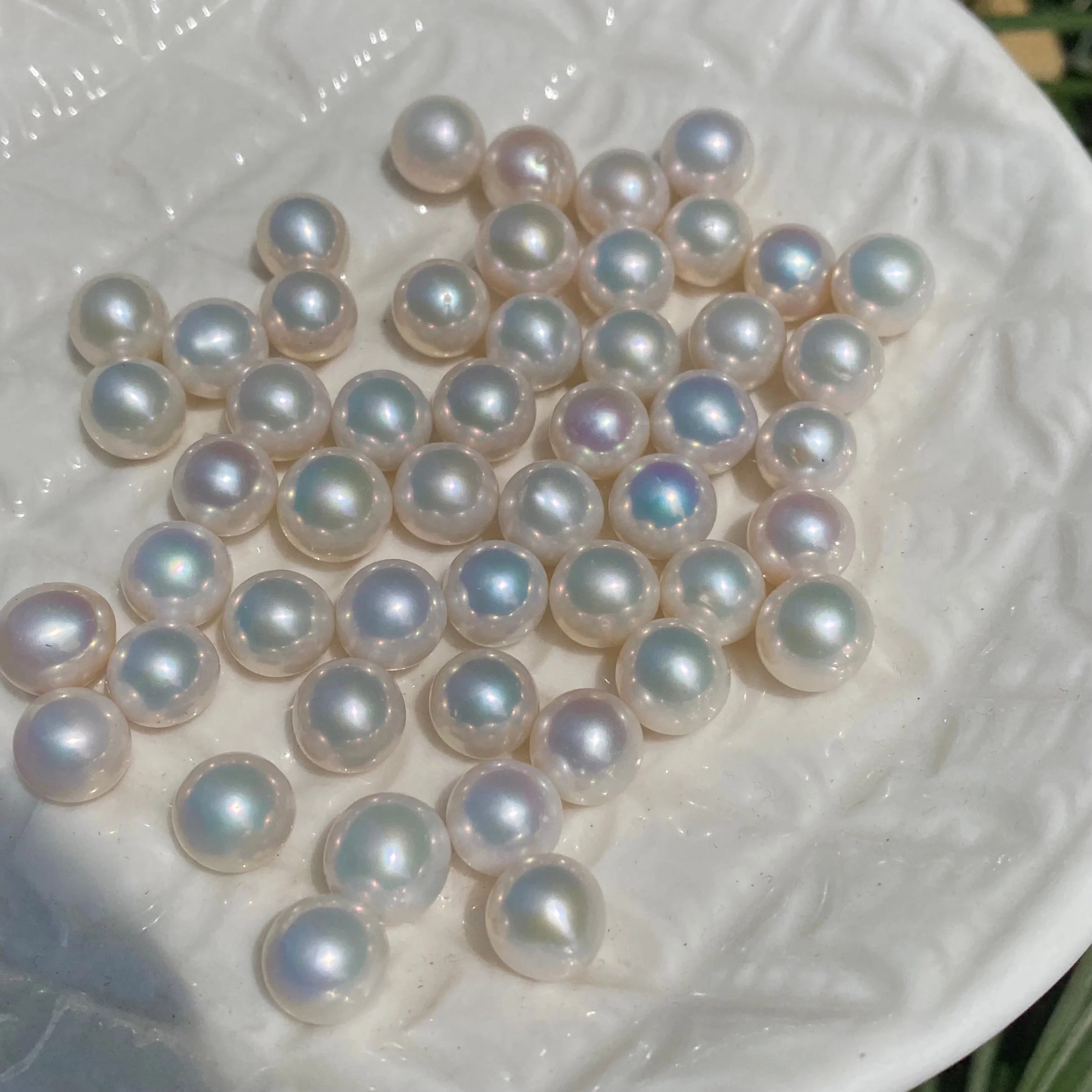 A18.【Live】Sakura Eddison Oyster(buy 1 get 1 free) - Image 2