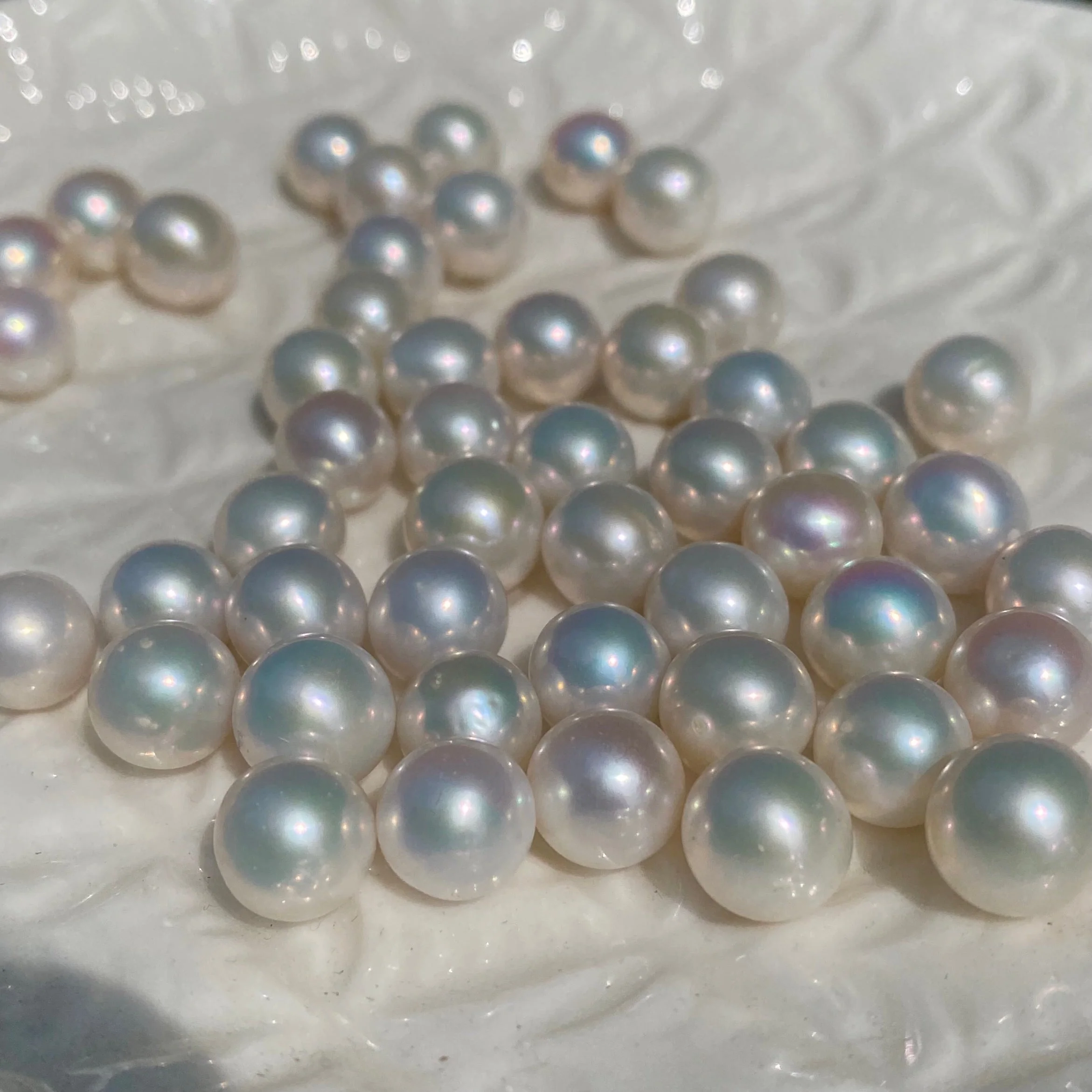 A18.【Live】Sakura Eddison Oyster(buy 1 get 1 free) - Image 3