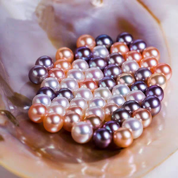 0.000.💥[LIVE OPENING] Cluster king with 20-30 pearls💥 Company's best selling shell - Image 2