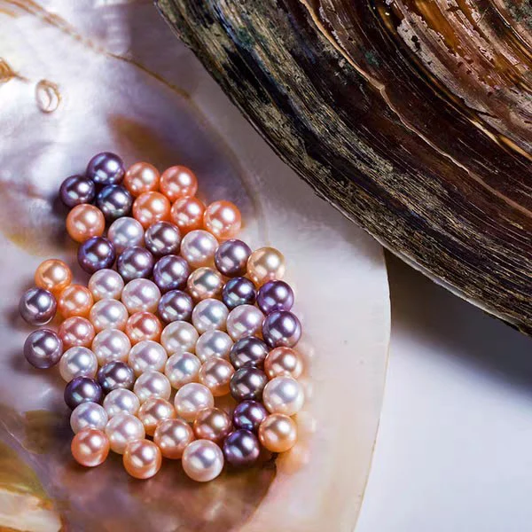 0.000.💥[LIVE OPENING] Cluster king with 20-30 pearls💥 Company's best selling shell - Image 3